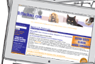 Dr Plechner - endocrine immune support program